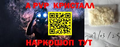 индика Будённовск