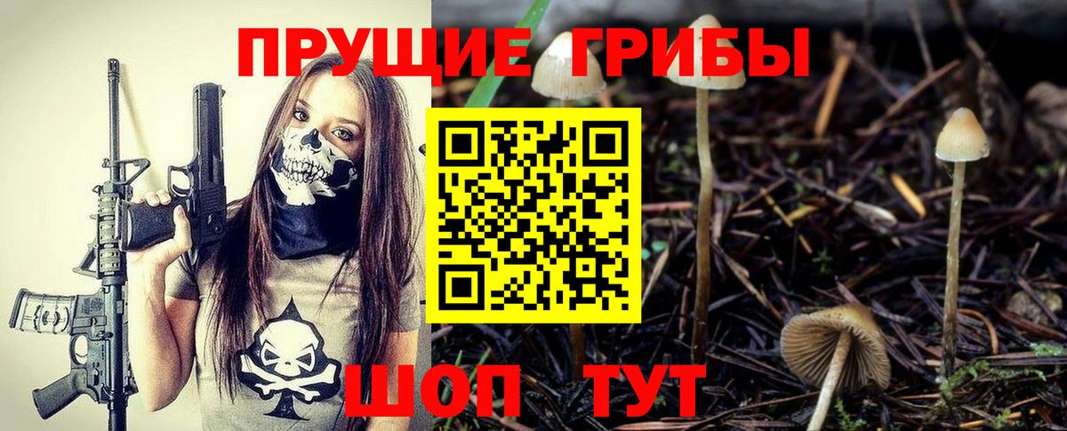 Псилоцибиновые грибы прущие грибы Тара
